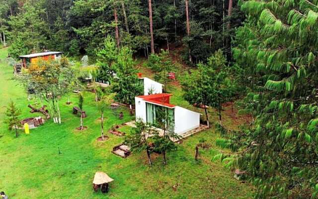 Romanticas Cabañas En Bosque