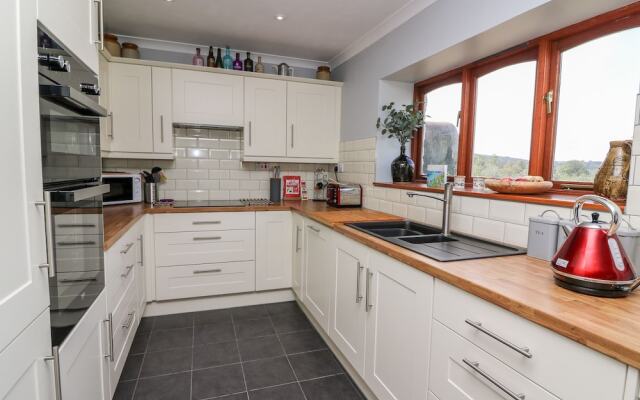 Bryn Ifor