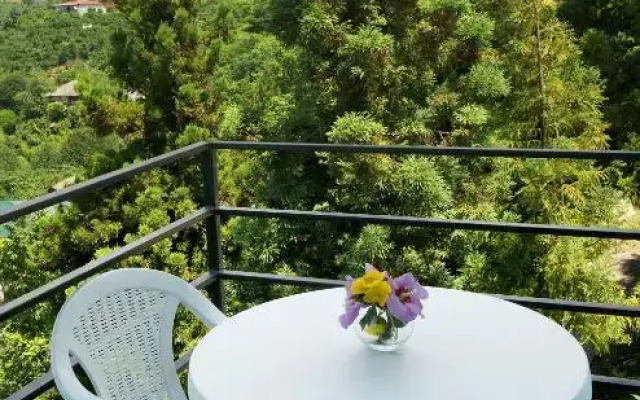 Hotel Limonchelo