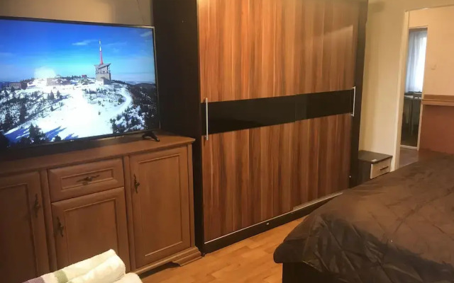 Apartment pod Lysou 3 Bedroom