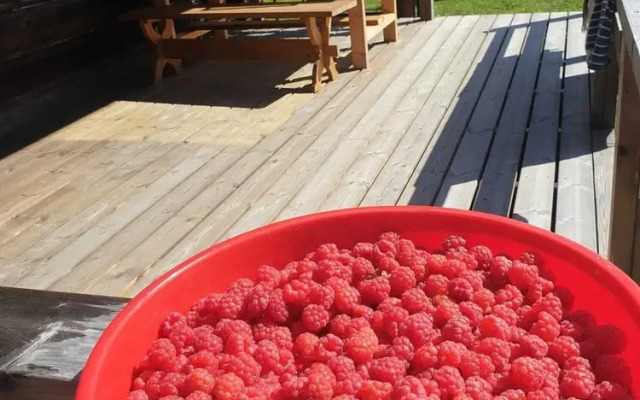 Beautiful 4-5 Persons Cottage in Alvdalen