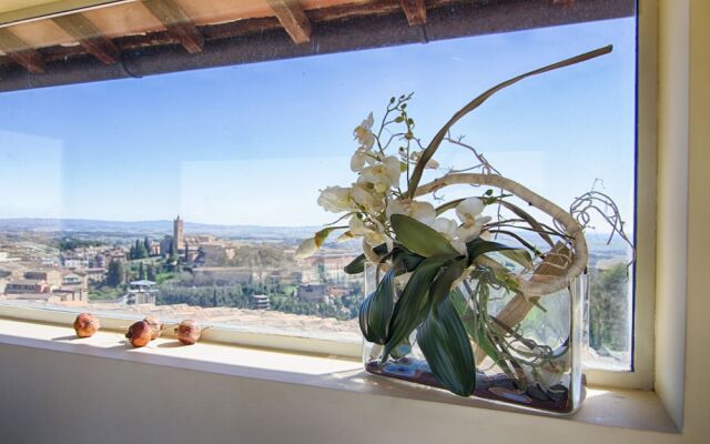 Rinidia Siena Centro