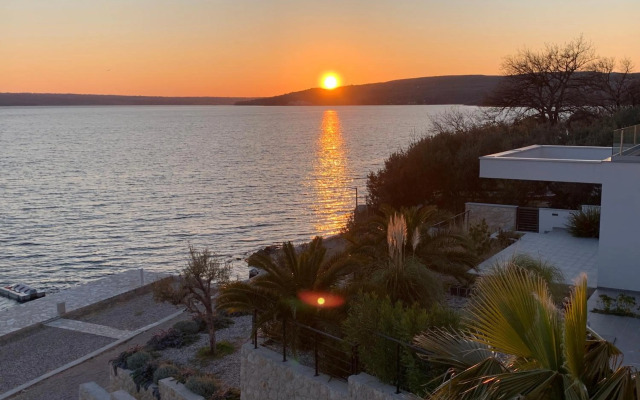 Palms & Beach Maslenica