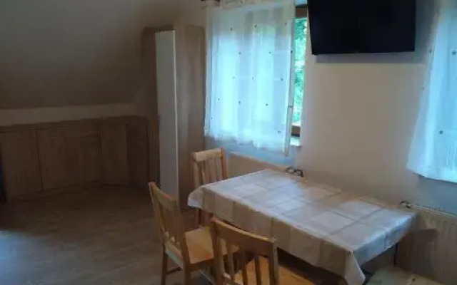 Apartment Sela