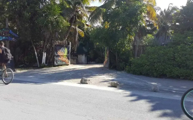 Playa Las Palmas Glamping Tulum
