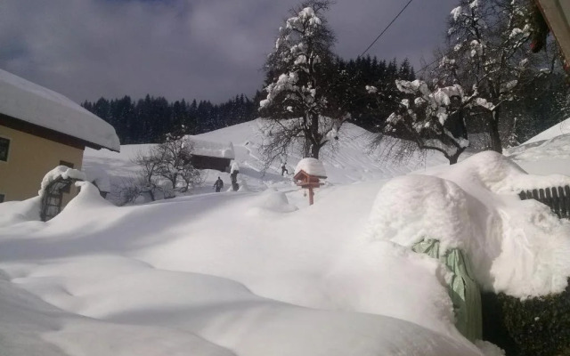 Bio-Bergbauernhof Weger