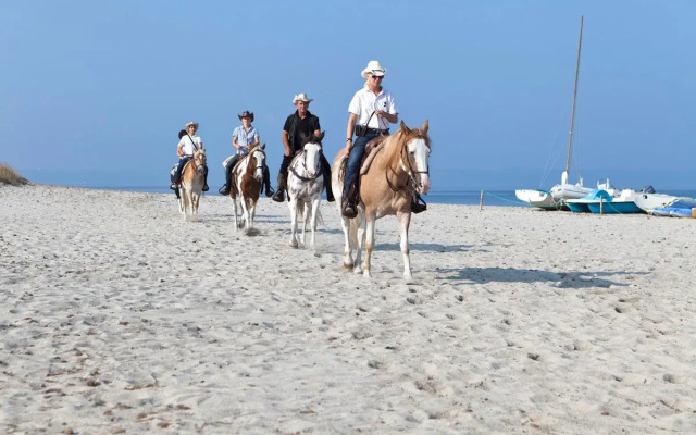 Horse Country Resort Congress & Spa