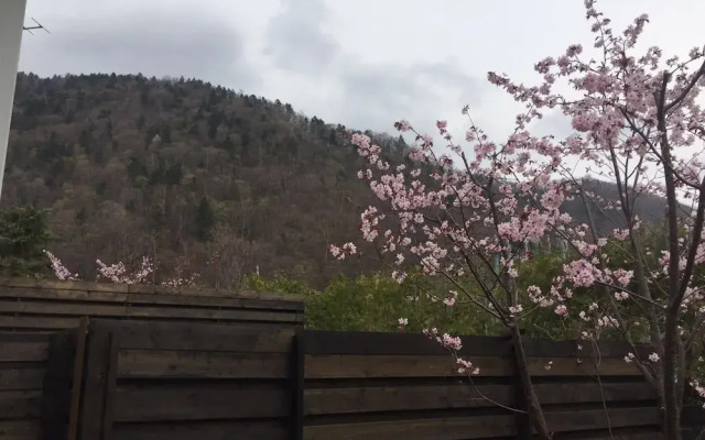 Hotel Kinwaso