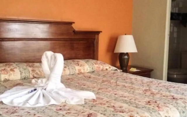 Posada Hidalgo Inn