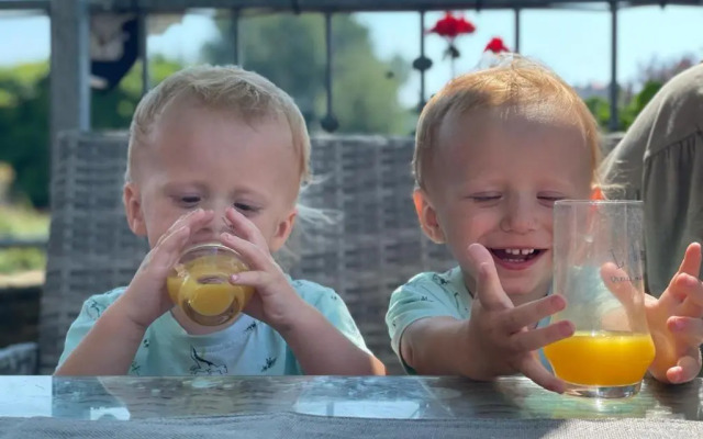 ElbPension & Ferienwohnung Sächsische Schweiz