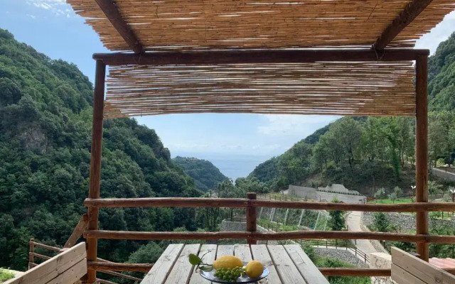 Tenuta Bosco