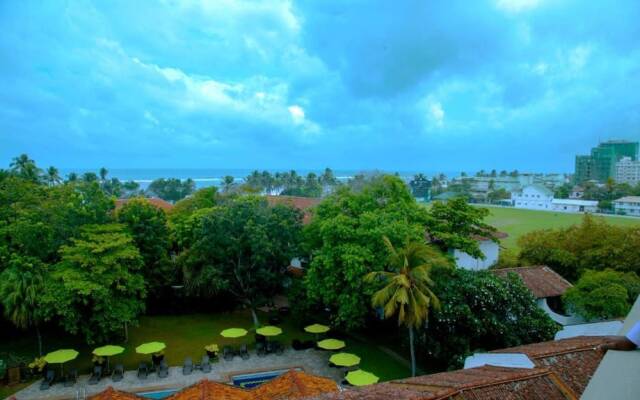 Palms, Mount Lavinia