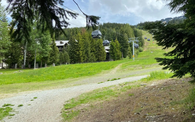 Blackcomb Springs Suites by CLIQUE