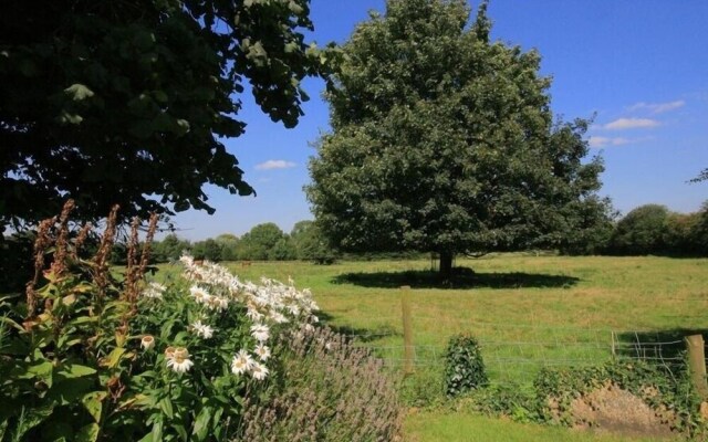 The Old Reading Room