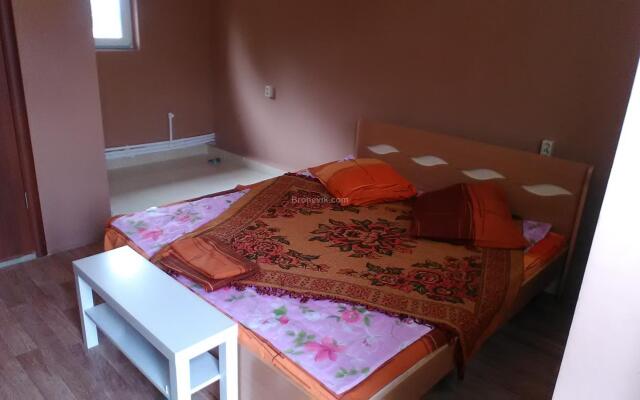 Отель Стриж