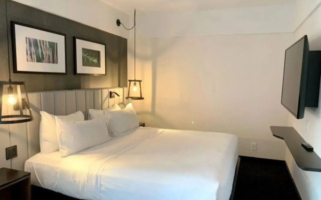 Hotel Bonaventure Montreal