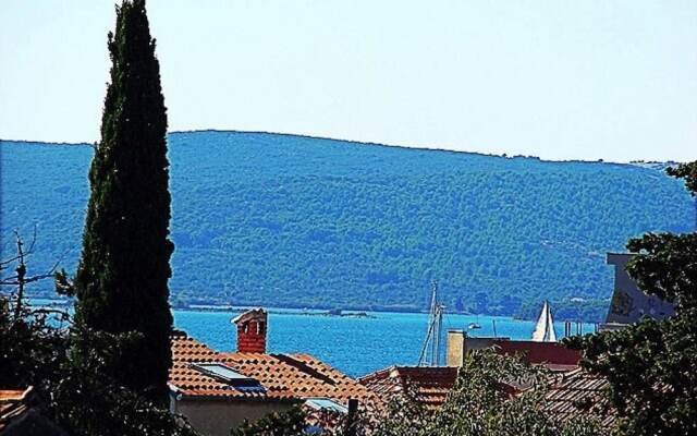 Višnja - Free Parking - B2