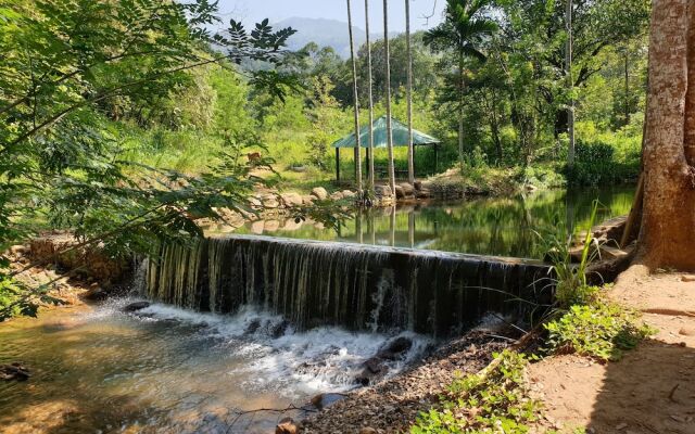 Nature Hub Koslanda