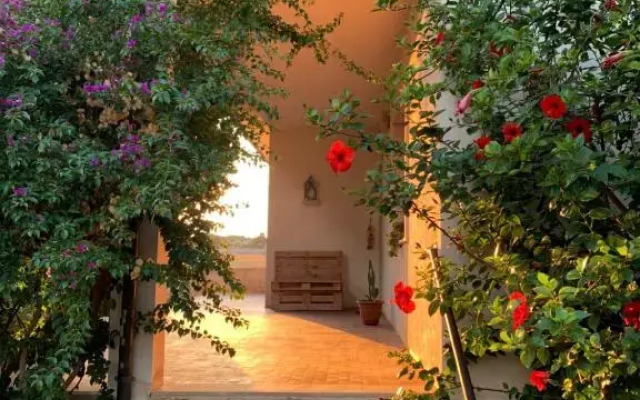 Affittacamere Ternulla