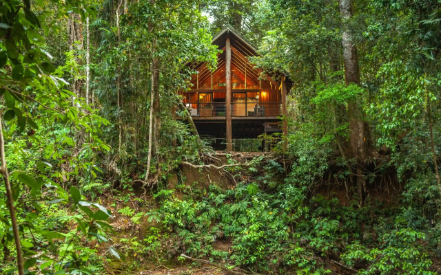 The Canopy Rainforest Treehouses and Wildlife Sanctuary