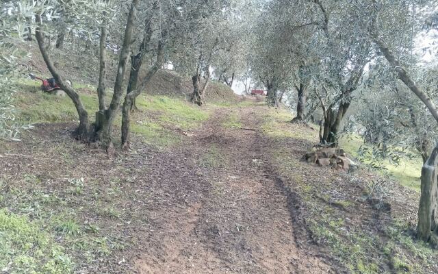 Agriturismo Campofiorito