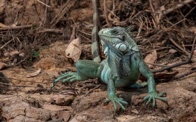 Lontra Pantanal Hotel