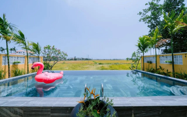 Canh dong homestay