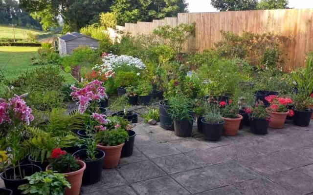 Brambles Bed and Breakfast