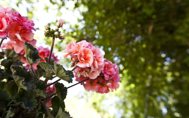 Relais Parco del Subasio