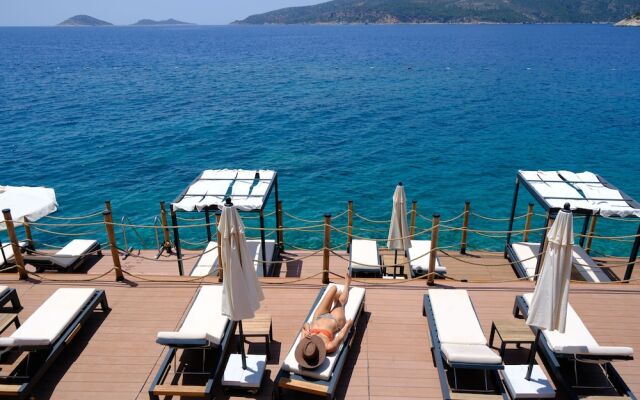 Lures Hotel