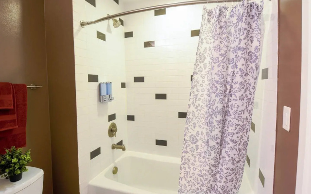 Downtown Location - Great Value 1 Br Apartment