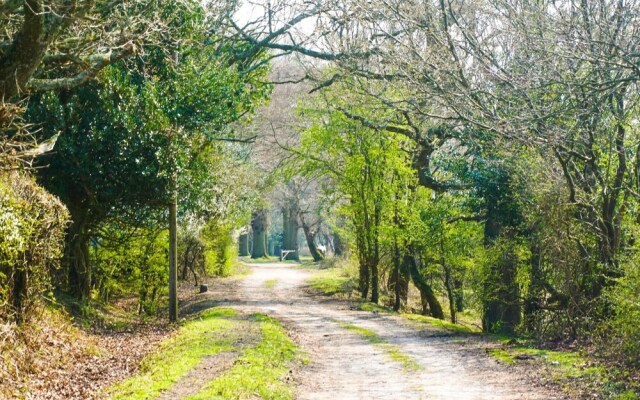 New Forest Lodge