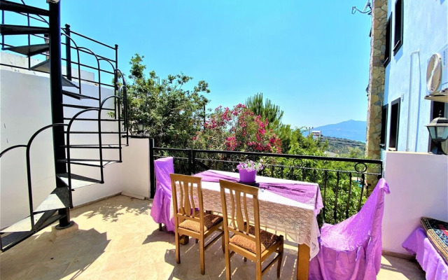 Villa Asoa