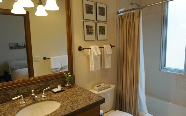 Chamonix 46 Apartment