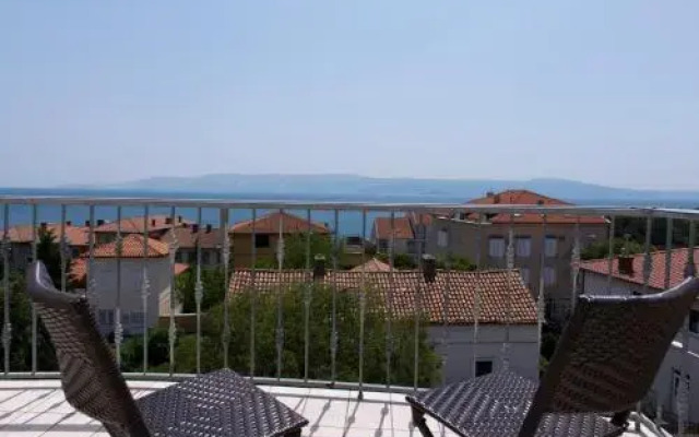 Pansion Lavanda