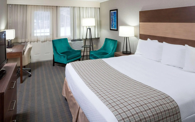 Bluebird Cady Hill Lodge