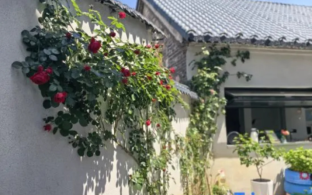 Shou County Gucheng Sanxi Homestay (Baoen Chansi) – Exterior – Shouxian
