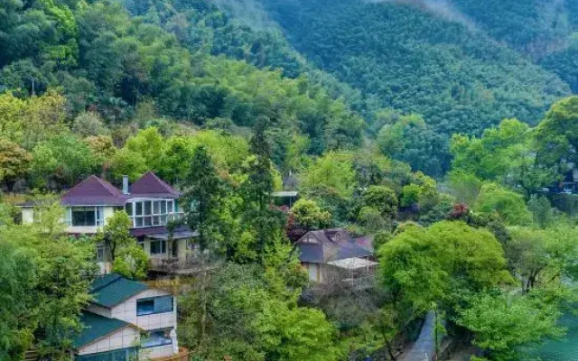 comphor and stream camping