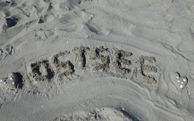 Villa Morgentied, FW 7