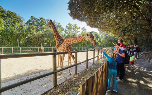 Les Voyageurs - Vaire