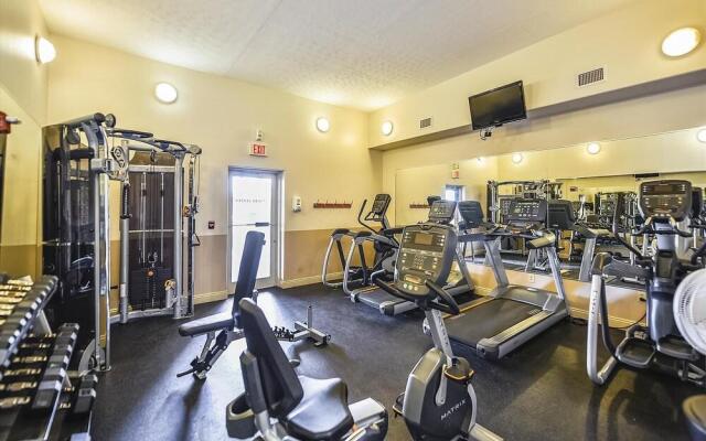 Treasure Island 1008