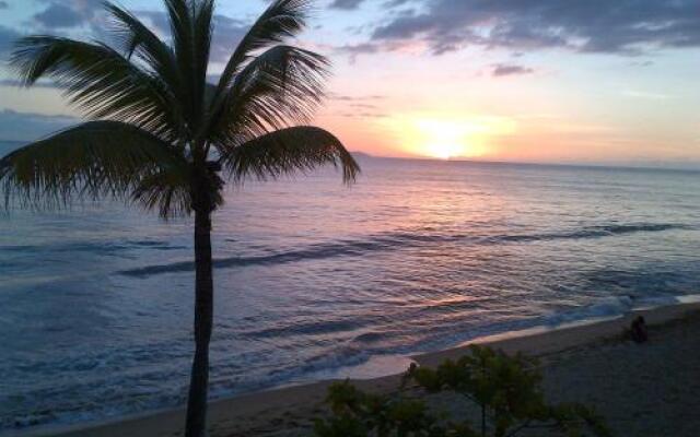 Coconut Palms Inn On The Beach