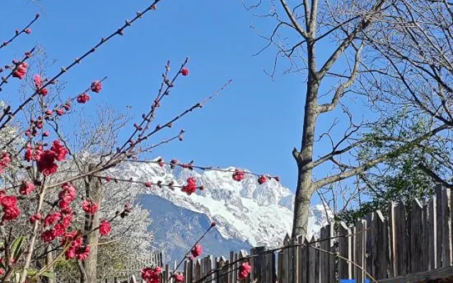 Watch the mountains with you·Designer 180° view of the snow-capped mountains – Outside – Lijiang