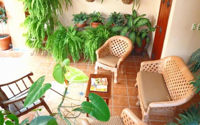 Hotel Green Frog Inn Bed and Breakfast