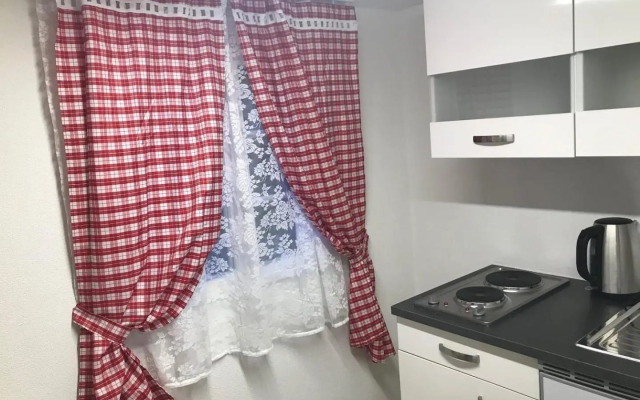 Holiday Apartment in Swiss Alps