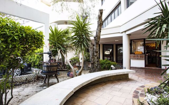 Rose Des Sables 20684