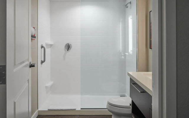 TownePlace Suites by Marriott Tampa South