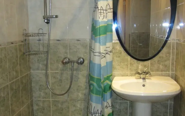 Old Flat Apartments Degtyarniy