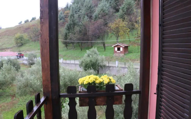 Traditional Guesthouse