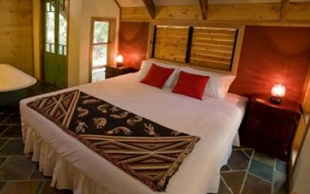 Rainforest Ranch